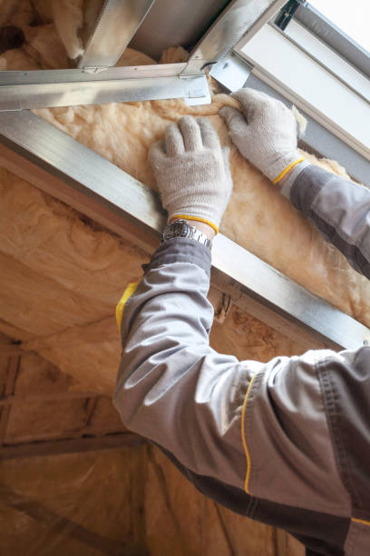 Best Insulation Replacement Services  in Ford City, PA