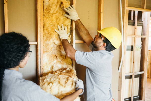 Best Home Insulation Services  in Ford City, PA